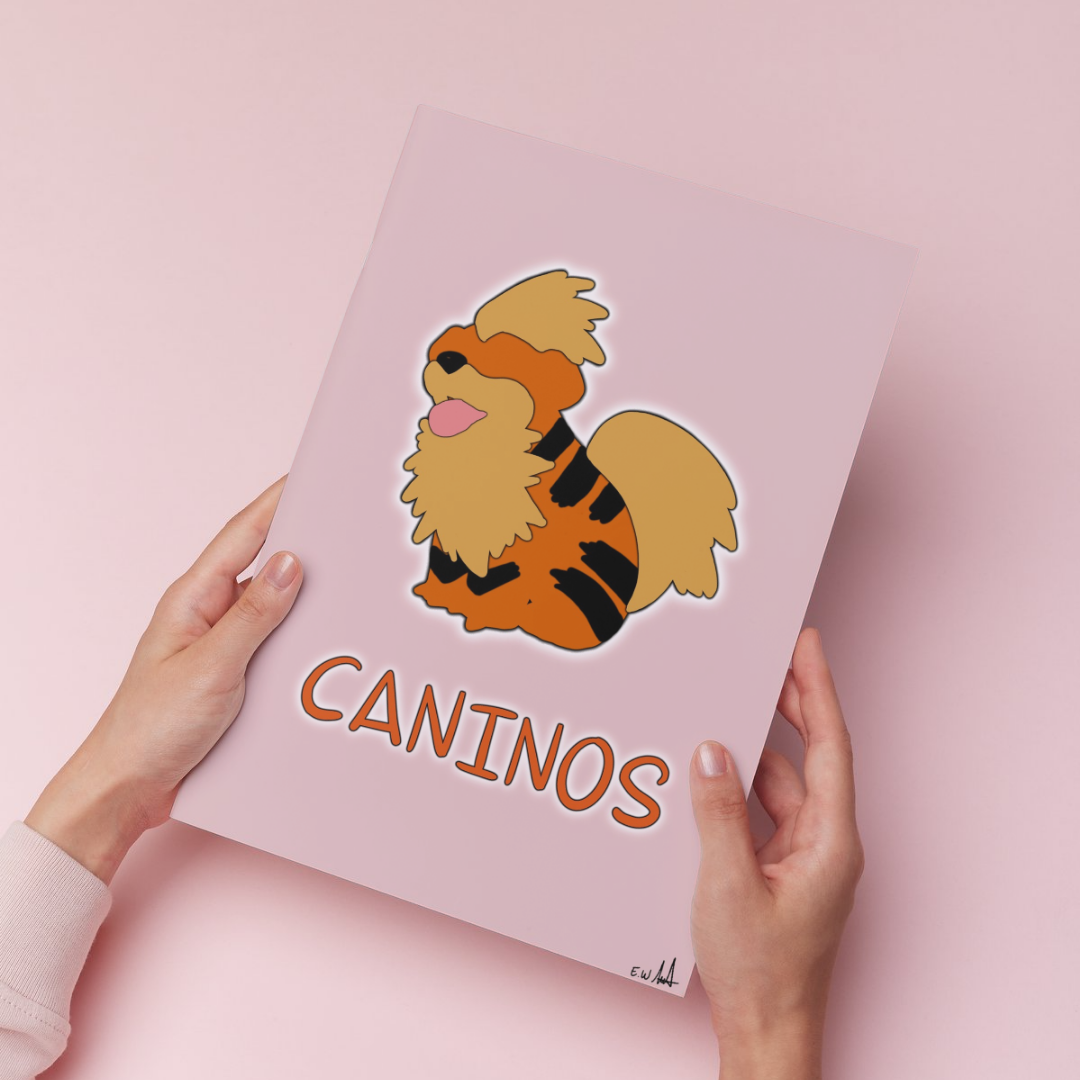 Pokémon minimaliste (Affiche)